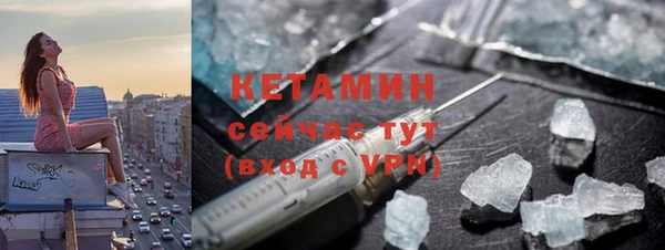 шишки Абаза