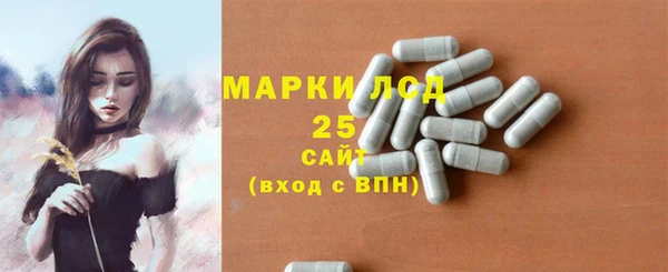 шишки Абаза