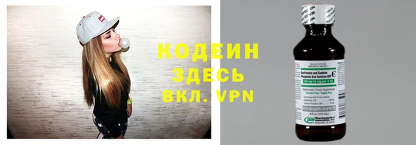 шишки Абаза