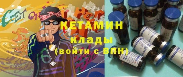 шишки Абаза