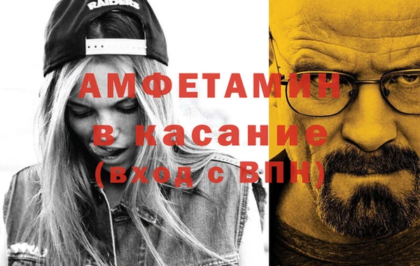 шишки Абаза