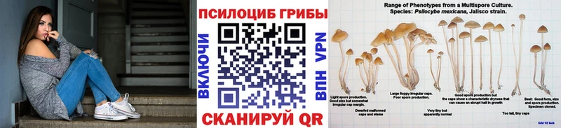 Галлюциногенные грибы Psilocybe  Иркутск 