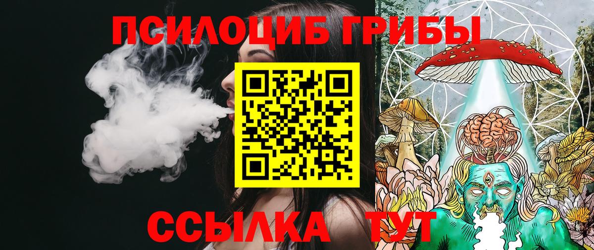 Иркутск  Галлюциногенные грибы Psilocybine cubensis  Вход с VPN 