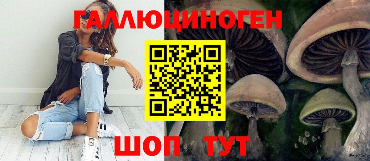Псилоцибиновые грибы Psilocybe Иркутск